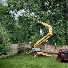 Best Storm Damage Tree Cleanup  in Hansen, ID